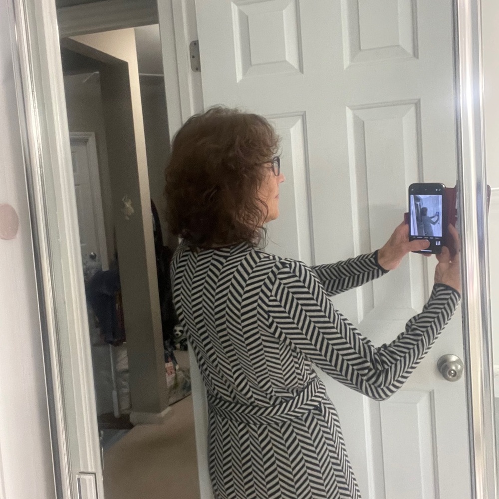 Ann Taylor Black and Gray Chevron Long Sleeve Classic Dress